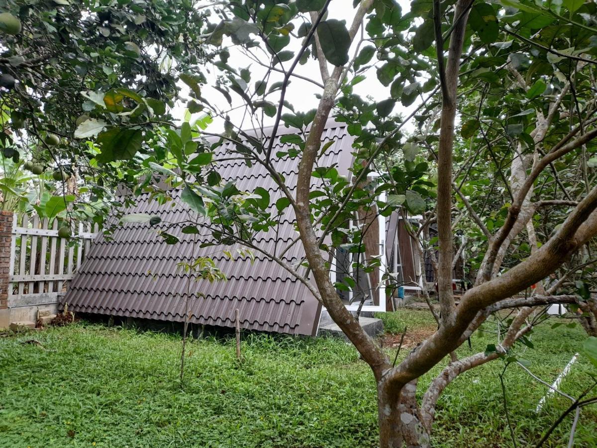 Tam Tinh Vien Homestay Hue Dış mekan fotoğraf