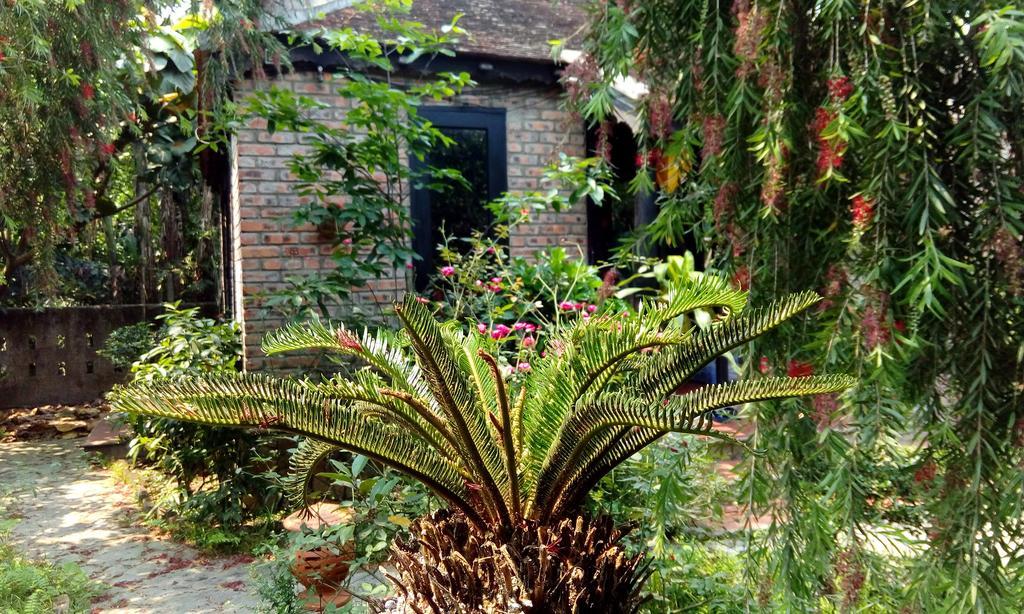 Tam Tinh Vien Homestay Hue Dış mekan fotoğraf