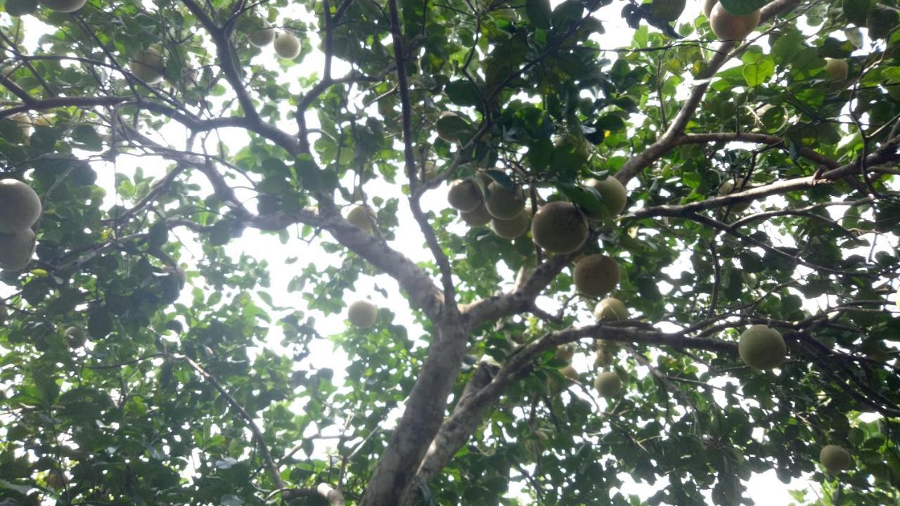 Tam Tinh Vien Homestay Hue Dış mekan fotoğraf